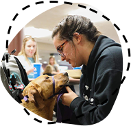 Sit Service Dog owner with their companion